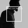 Various Artists - Incognito